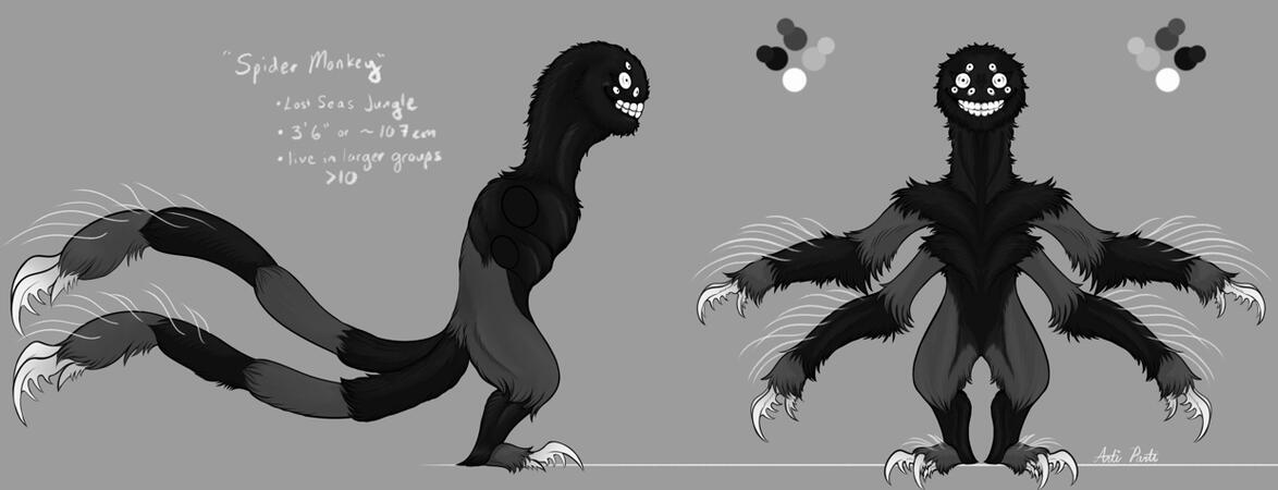 Spider Monkey (3D Ref)