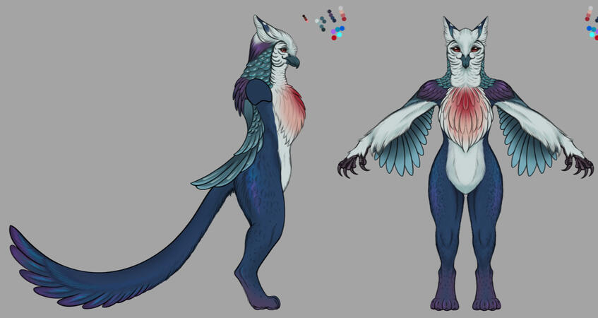ArtiParti Griffinsona (3D Ref)