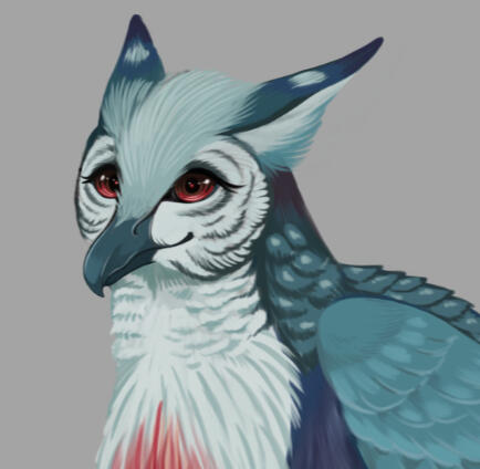 Arti Birb